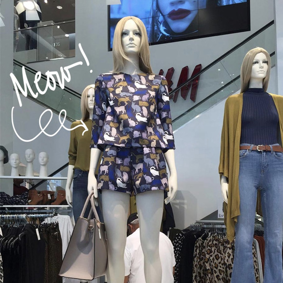 H&M Tops - H&M Crazy Cat Lady Blue Print Retro Blouse Sz 6